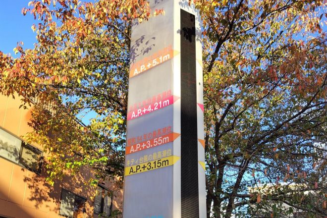 江戸川区役所前の荒川水位表示塔
