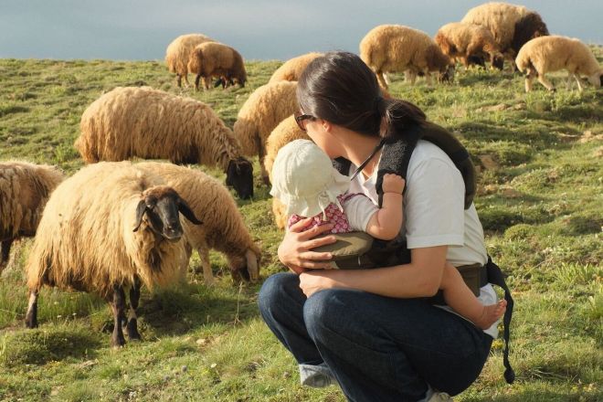 自然豊かな国で動物とのふれあいも
